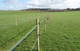 A Complete Guide on Installing an Electric Fence for Horses