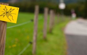 The Greatest Benefits of Choosing Electric Fencing for Your Pets