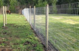 Comparison between Traditional and Electric horse fencing