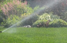 Tips for Maintaining the Irrigation System