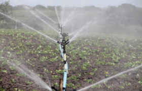 Know About the Top Irrigation Techniques and Their Benefits