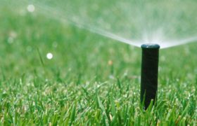 Tips To Choose the Right Irrigation System for Your Garden