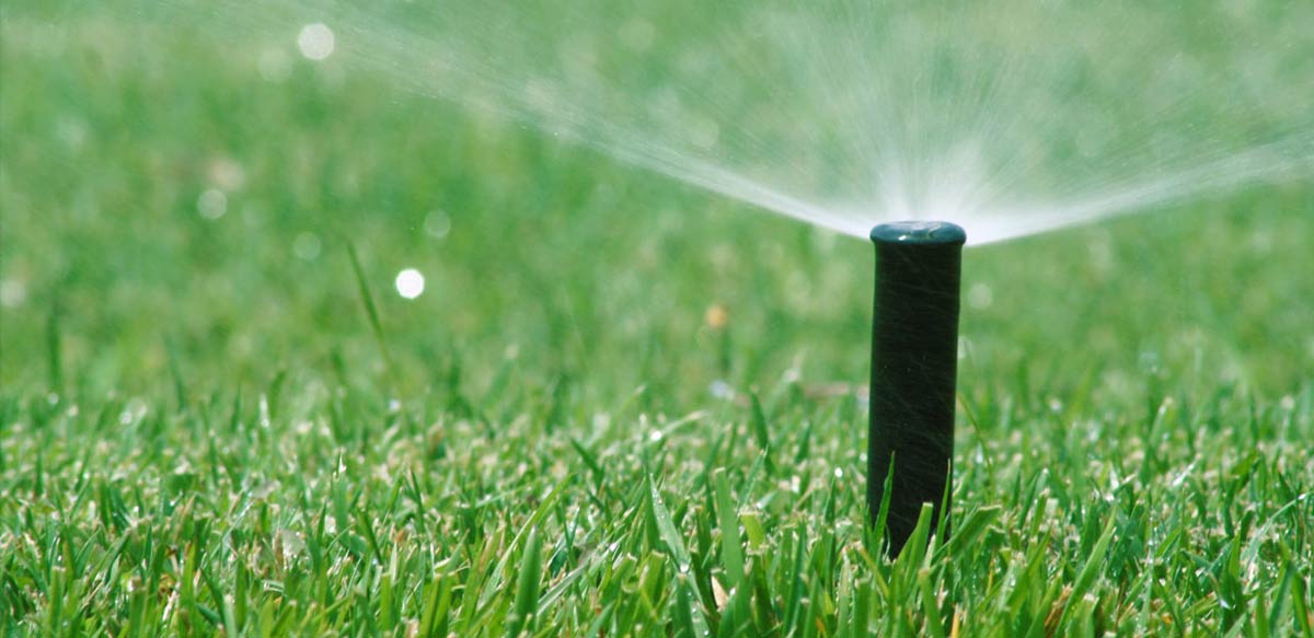 Irrigation System for Your Garden