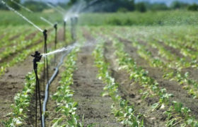 Simple Solutions for Low-Pressure Problem in Your Sprinkler System