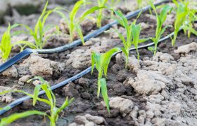 Guidelines for Choosing the Best Irrigation System