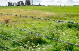 Ultimate Fencing Guide for All Your Farms and Ranches