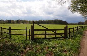 Things That You Need To Know About Fencing Livestock