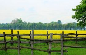 Does a Farm Fence Increase Your Rural Property’s Value?