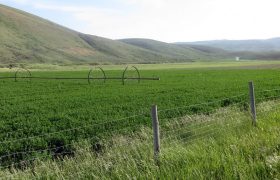 Irrigation – All You Need To Know