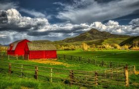 How To Maintain Your Farm Fencing In Good Condition