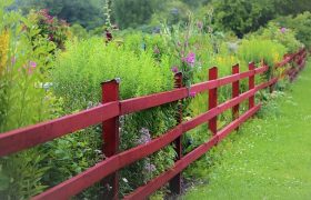 Fence Your Garden to keep it Safe