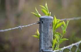 Questions To Ask While Choosing Farm Fencing Supplies