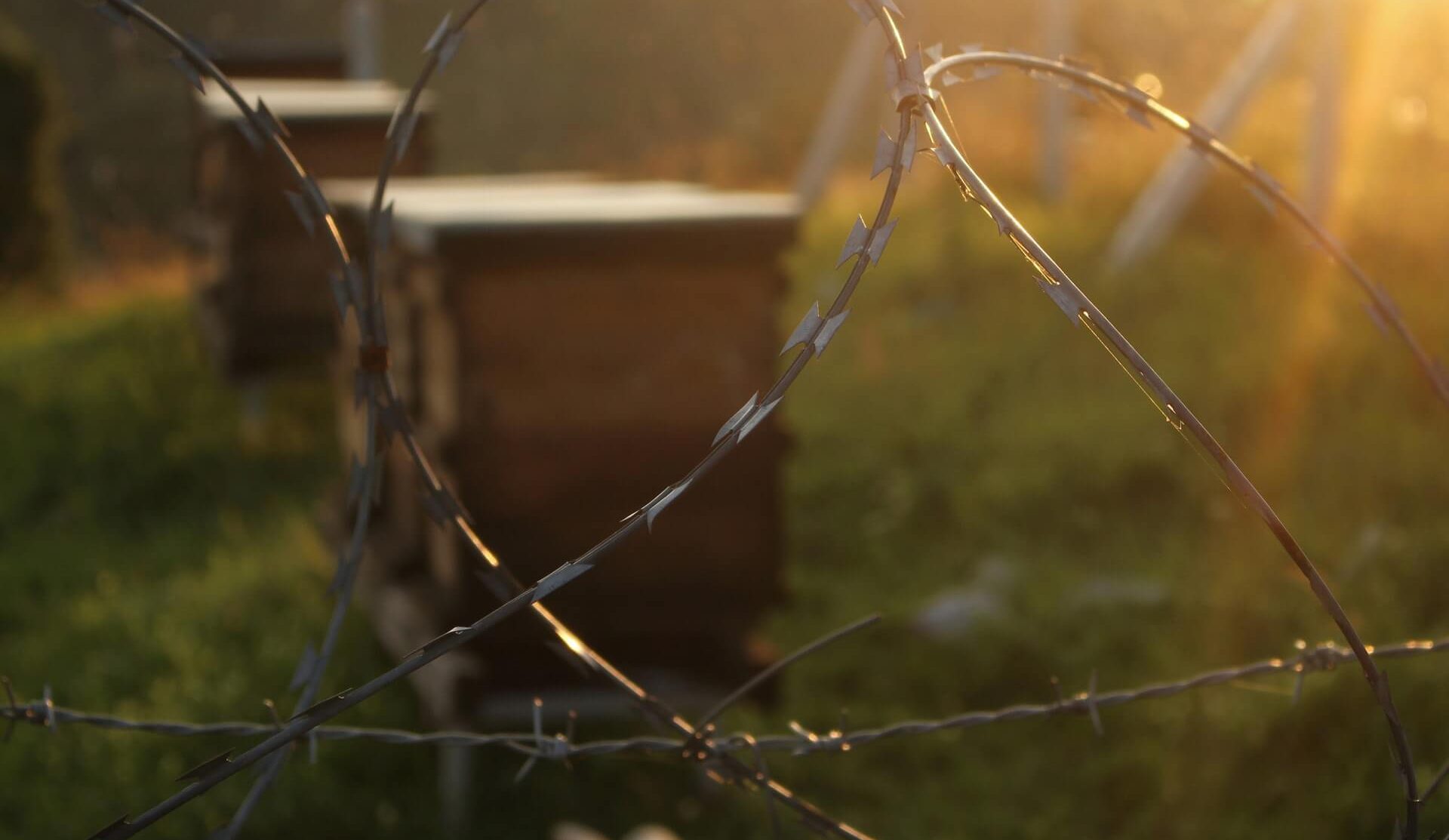 All You Need To Know About Irrigation System