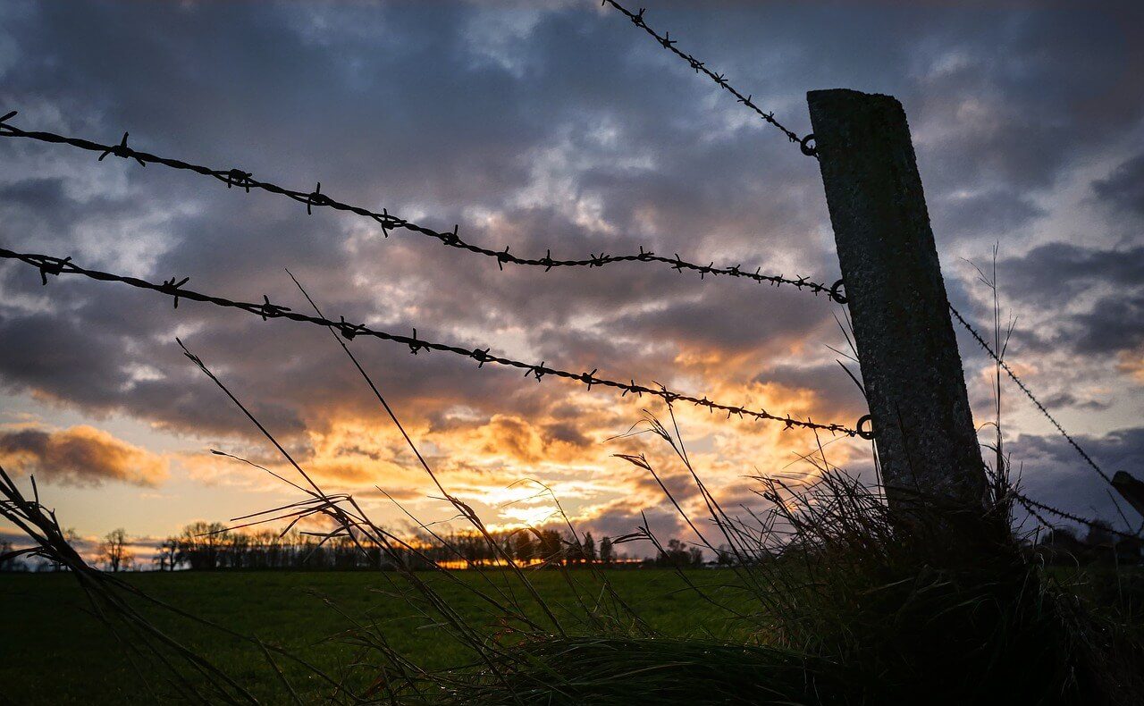 How to Protect the Livestock from Wild Animals?