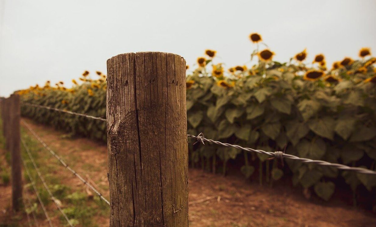 Farmers Use Rural Fencing for Multiple Use - Know Those Here!