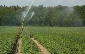 Reasons You Will Want an Irrigation System This Year