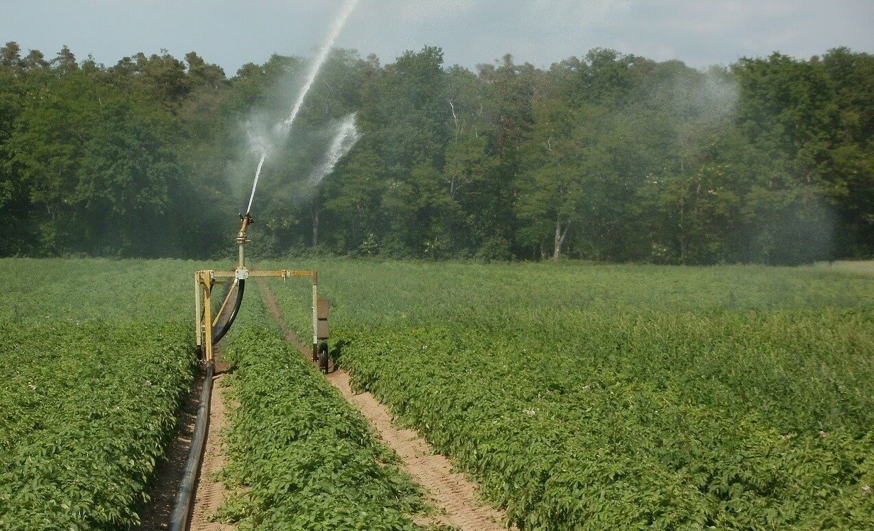 Reasons You Will Want an Irrigation System This Year