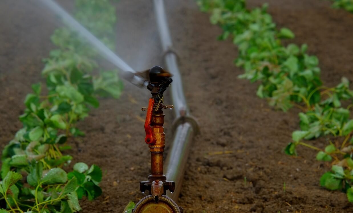 Drip Irrigation