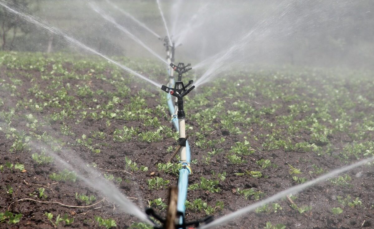 A Buyer’s Guide to Choosing the Right Irrigation Pump