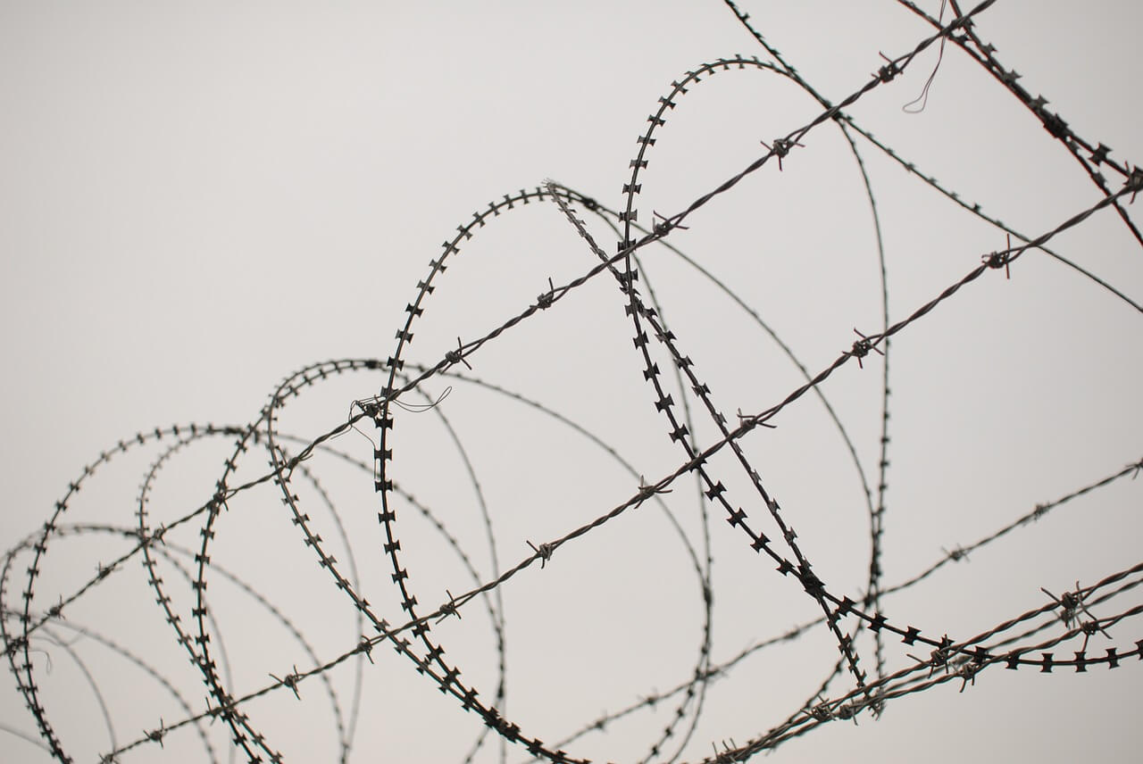 Barbed Wires