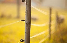 Looking For Fencing Supplies? Here’s What You Need to Consider