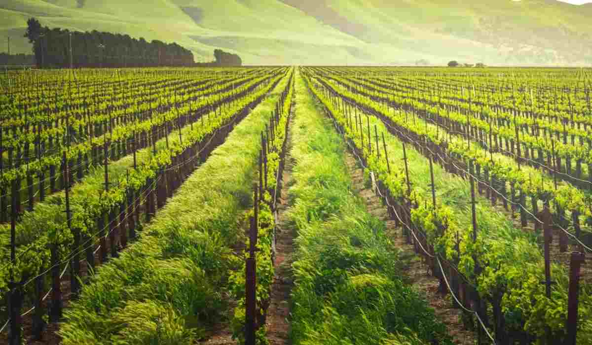 farm fencing supplies Perth