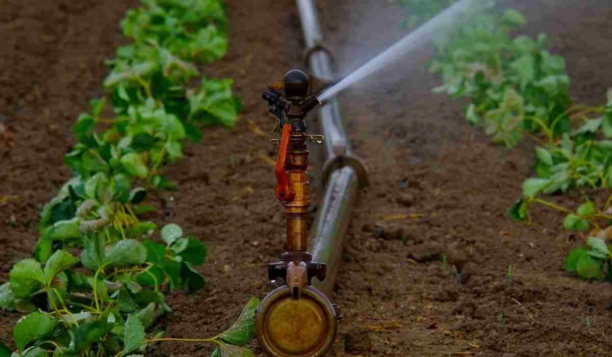 irrigation supplies