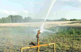 Planning to Set Up a New Irrigation System? Be Aware of These Mistakes
