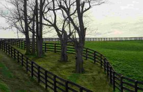 6 Key Factors to Consider Before Fencing Your Yard