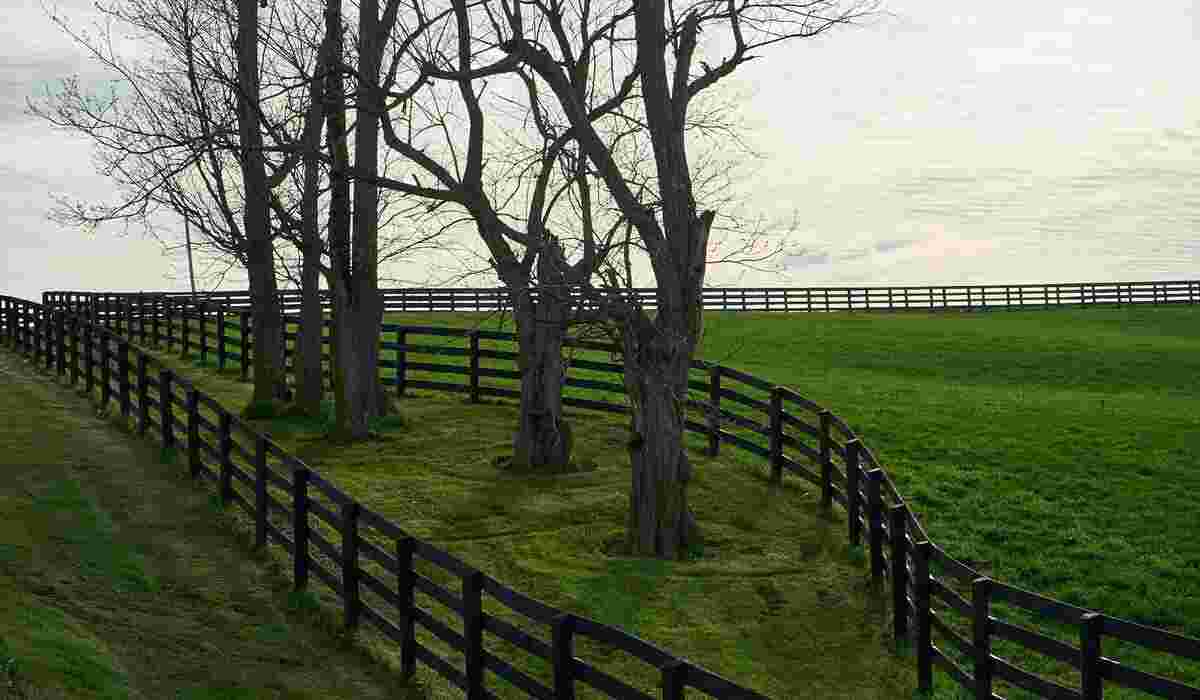 farm fencing supplies