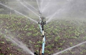 A Beginner’s Guide to Sprinkler Irrigation System