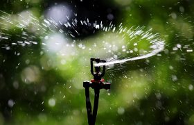The Importance of Quality Irrigation and Farm Fencing Supplies for Your Agricultural Needs
