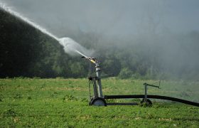 6 Things to Consider When Buying Farm Fencing Supplies