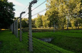 Electric Fencing Made Straightforward: Planning, Installing and Looking After a Stock-Proof Boundary