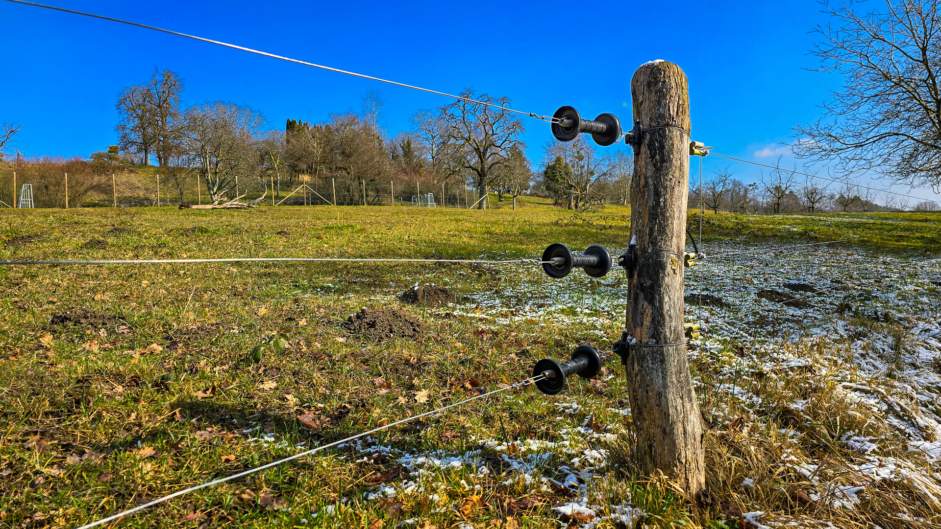 Electric wire fence for animal safety near pasture by agricultural irrigation supplies Perth