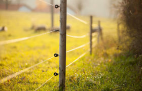 The need for a protective fence around farm lands