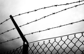 Five Tips to Remember While Putting Up a Barbed Wire Fence