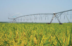 An Overview of Different Types of Agricultural Irrigation Systems