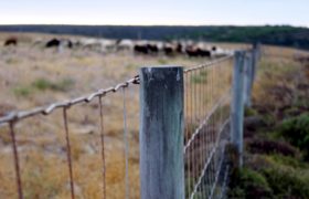 Why Agricultural Fencing is Important for Your Farm?