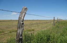 A Brief Guide: Types of Farm Fences You Need to Know