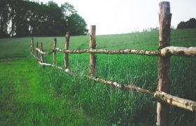 Fencing Procedures for Beginners