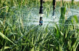 Tips To Choose The Right Irrigation Contractors