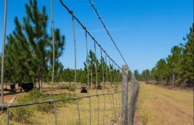 An Ultimate Guide for Farm Fencing