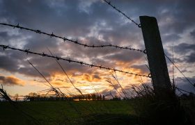 How to Protect the Livestock from Wild Animals?