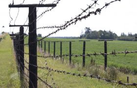 Ultimate Guide on Different Types of Rural Fencing