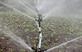 A Buyer’s Guide to Choosing the Right Irrigation Pump