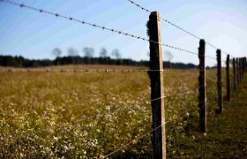 Popular Types of Farm Fencing and What They’re for