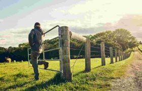 Why You Should Consider Installing Farm Fencing?