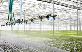 Is an Irrigation System Right for You?