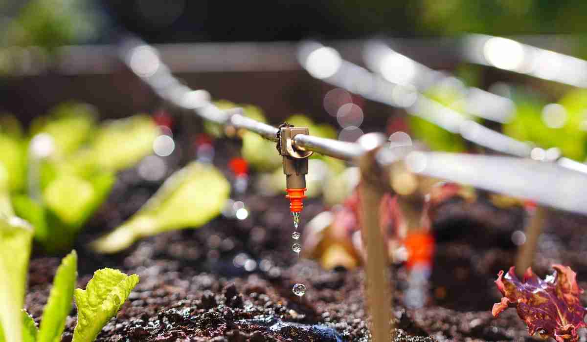 Drip Irrigation System